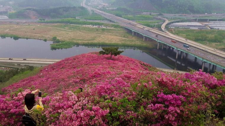 대구 서구 서대구나들목 일대
