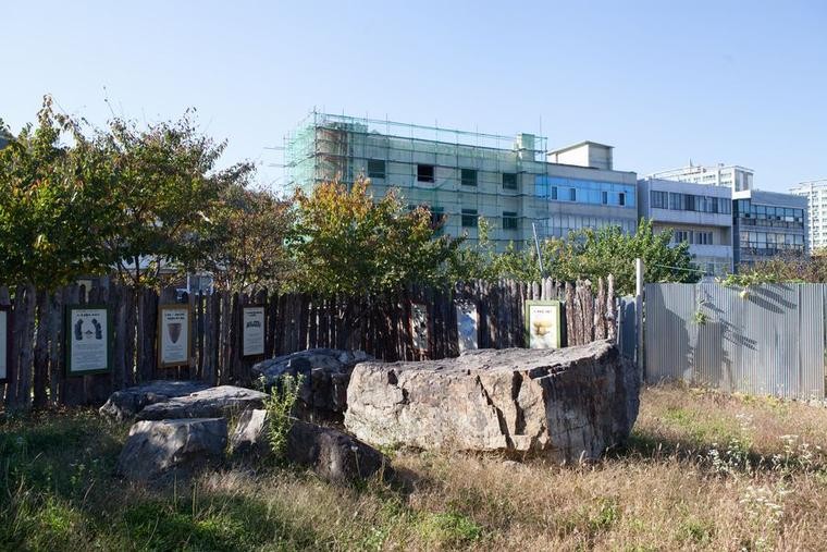 대구 수성구 상동 지석묘군