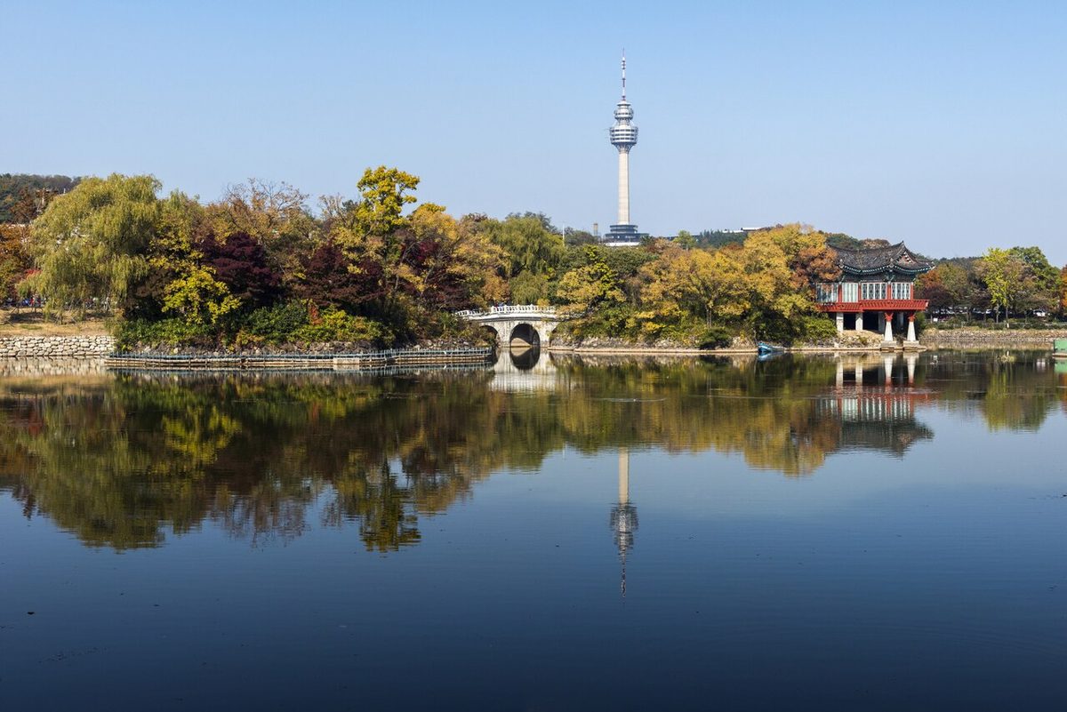 대구 두류공원과 83타워