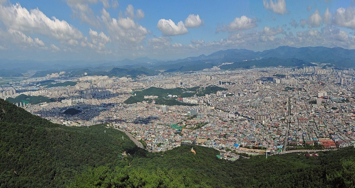 앞산에서 내려다본 대구 시가지